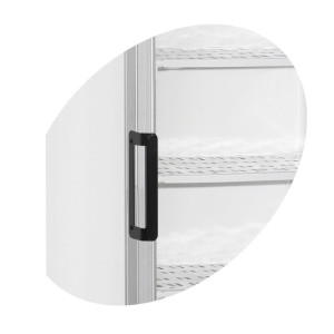 Stiklotais saldētavas vitrīna ar nojumi - 270 L TEFCOLD: redzamība, estētika un optimāla saglabāšana