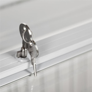 Saldētava Ledus lāde - Bīdāmās durvis - 115 L TEFCOLD: Optimāla jūsu saldējumu saglabāšana