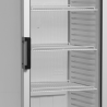 Armoire Réfrigérée à Boissons 1 Porte Vitrée 347L TEFCOLD : Elegance un Veiktspēja