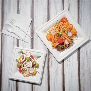 Kvadrātveida kompostējamas bagāzes šķīvji 261 mm - 50 gabalu komplekts - Ekoloģiski un praktiski