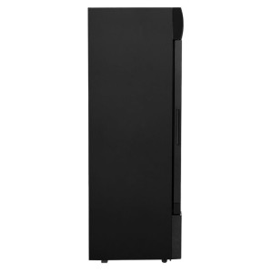 Aukstuma dzērienu vitrīna - 300 L - Dynasteel