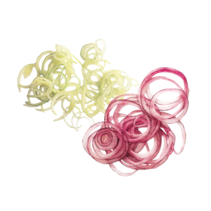 Robot-Coupe šķēlēšanas diski R101XL / R201XL / R211XL / R301 / R301Ultra / R 401 / CL20 / R 402 / R402 V.V. / CL 40.