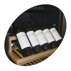 Vīna skapis TEFCOLD nerūsējošais tērauds - 165 pudeles - Mūsdienīgs dizains