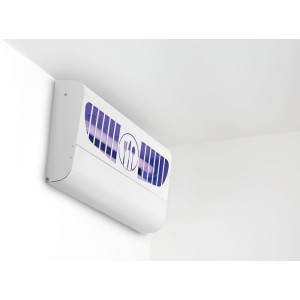 Kaitēkļu iznīcinātājs ar līmplēvi - 100 m²