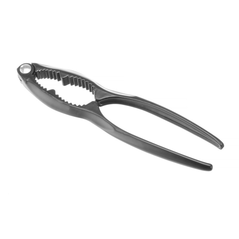 Rieksti un jūras veltes - Hendi