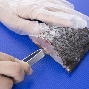 Pincete ar acīm no nerūsējošā tērauda - Vogue - Fourniresto