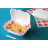 Hinged Bagasse Compostable Trays - 500 ml - Pack of 250 - Fiesta Green