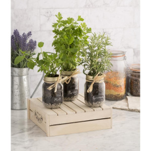 Gatavošanas burka ar skrūves vāku - 500 ml - FourniResto - Fourniresto