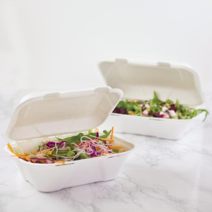 Kastītes ēdienam no bagāzes ar šarnīra vāku - L 228mm - 200 gabalu komplekts - Vegware