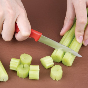 Ofisa nazis sarkans asme 7,5 cm - Hygiplas - Fourniresto