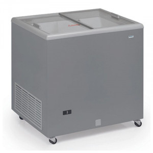 Stiklotas bīdāmās durvis saldētava - 220 L